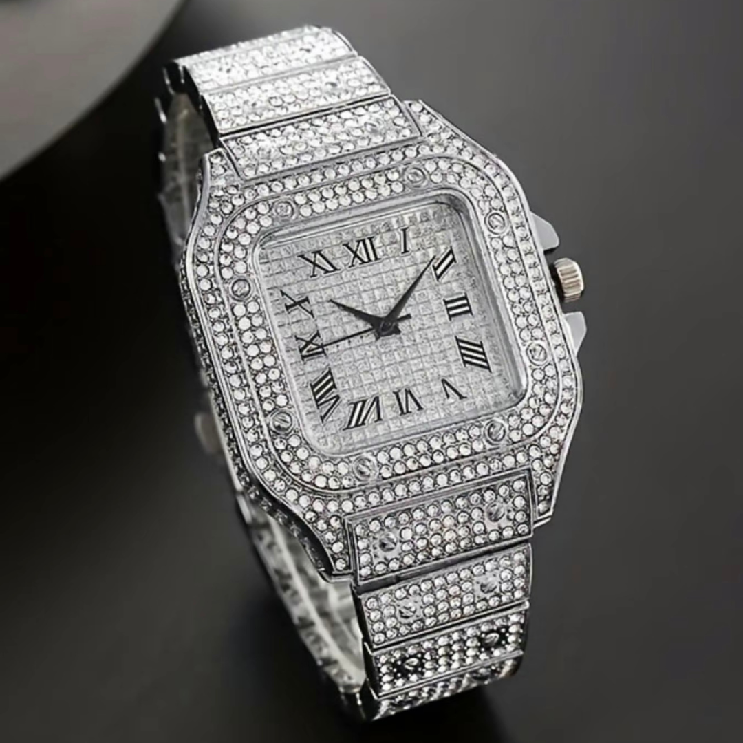Silver Radiance Watch